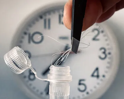 Cabelo Revela Segredo do Relógio Biológico: Novo Teste HairTime Descobre Cronotipo e Impacto do Emprego