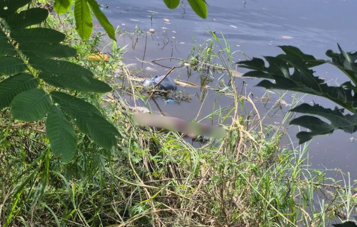 Corpo em Avançado Estado de Decomposição Encontrado em Igarapé Infestado de Lixo na Zona Oeste de Manaus: Polícia Investiga Crime
