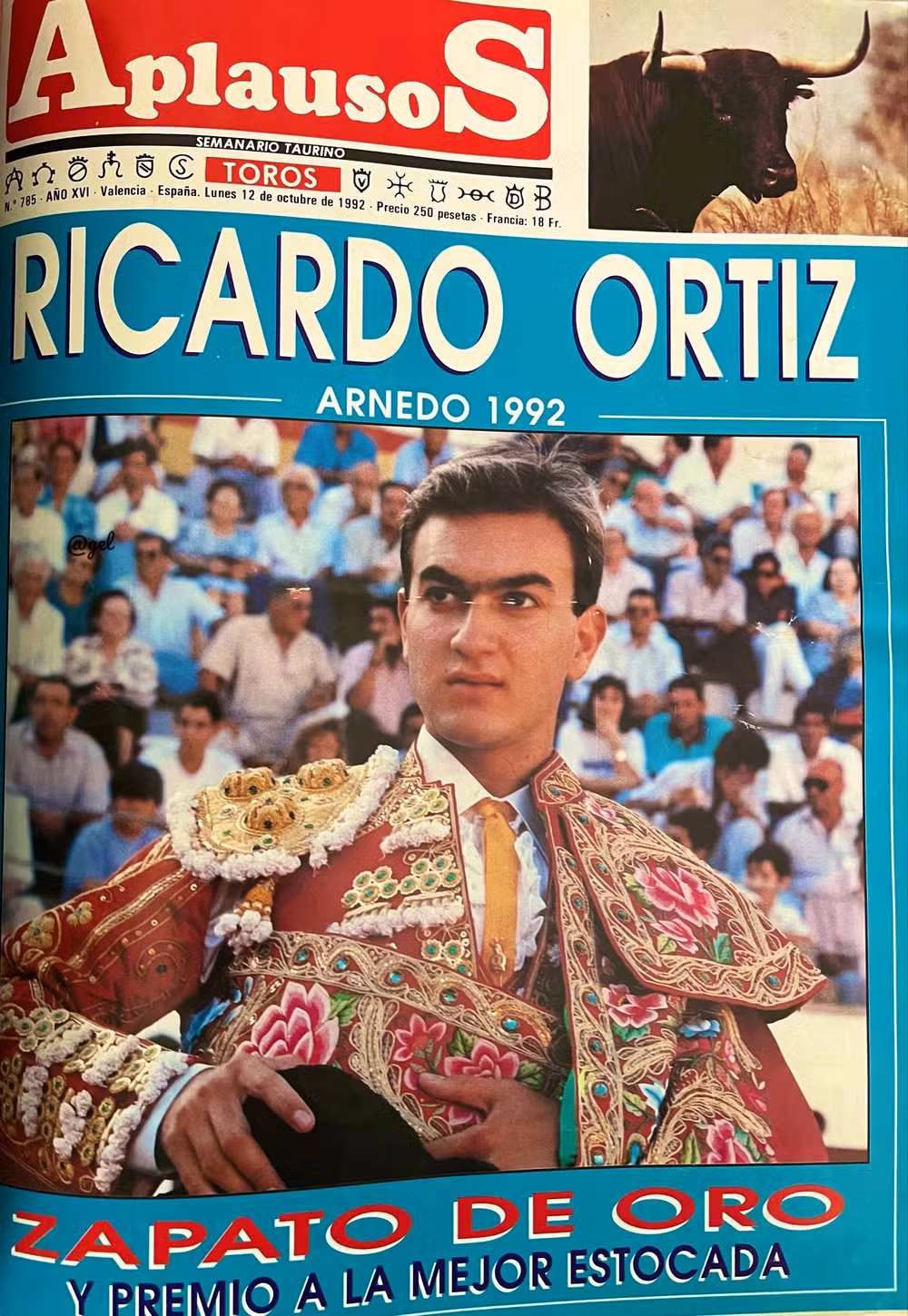 Tragédia em M&aacute;laga: Ex-Toureador Ricardo Ortiz Morre Atingido por Touro em Arena Espanhola, Caso Investigado