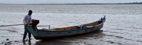 911 Pescadores do Amazonas Recebem Pagamentos Retroativos do Seguro-Defeso: Entenda Quem Tem Direito e Como Consultar