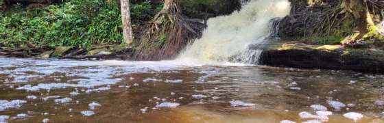 Homem que desapareceu após choque elétrico é encontrado morto em lago de Presidente Figueiredo, Amazonas