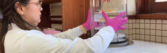 Camarões Revelam Segredo Sombrio: Metais Pesados do Garimpo Ilegal Contaminam Rios do Amapá