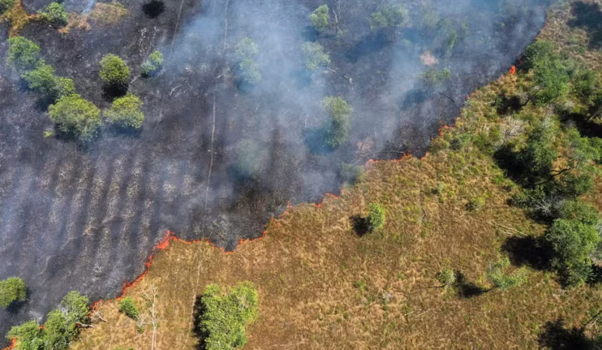 FAS Lança Debate Gratuito: Caminhos para o Desmatamento Zero e Ação Climática na Amazônia com Diplomatas e Lideranças Indígenas