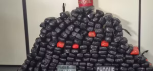 Cão Farejador Aghata é Heroína: 90kg de Pasta Base de Cocaína Apreendidos em Barco no Amazonas