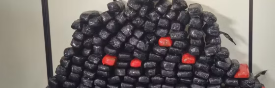 Cão Farejador Aghata é Heroína: 90kg de Pasta Base de Cocaína Apreendidos em Barco no Amazonas