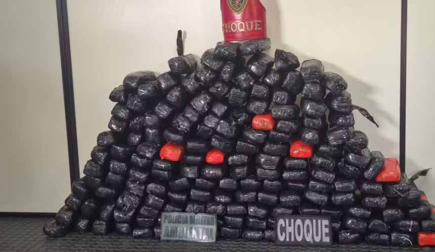 Cão Farejador Aghata é Heroína: 90kg de Pasta Base de Cocaína Apreendidos em Barco no Amazonas