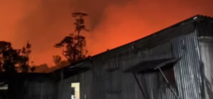 Manacapuru em Alerta: Incêndio Ameaça Casas e Plantações no AM, Moradores Pedem Ajuda Urgente