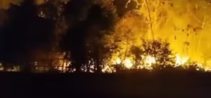 Maués em Alerta: Incêndio em Área de Mata Próxima ao Lixão Volta a Atingir o Amazonas
