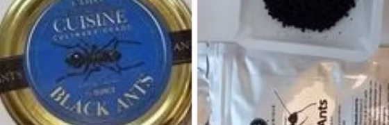 Restaurante 2 Estrelas Michelin é Multado na Coreia do Sul por Usar Formigas Desidratadas em Sobremesas Premiadas