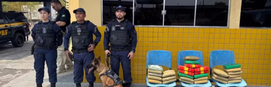 Cão Farejador Zaya é Heroína: 30kg de Drogas Atingem 30kg de Drogas em Ônibus para Porto Velho em Manaus