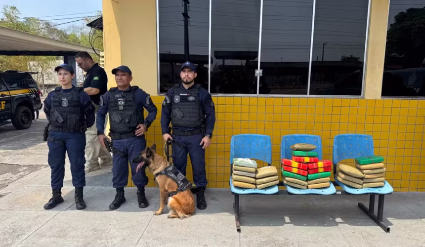 Cão Farejador Zaya é Heroína: 30kg de Drogas Atingem 30kg de Drogas em Ônibus para Porto Velho em Manaus