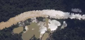 Homem vira réu por destruir 36 hectares de floresta em parque nacional no AM com garimpo ilegal de cassiterita