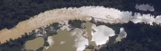 Homem vira réu por destruir 36 hectares de floresta em parque nacional no AM com garimpo ilegal de cassiterita