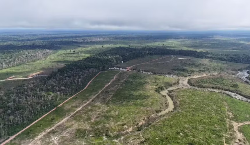Desmatamento na Amazônia: Amazonas registra queda de 27% em 2026, mas terras indígenas e áreas protegidas sofrem pressão
