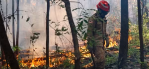 Governo do AM pede ajuda federal contra queimadas, mas desiste; Ministério do Meio Ambiente explica divergência