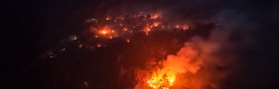Incêndios Florestais Devastam Zona Rural do AM: Agricultores Perdem Tudo e Moradores Desmaiam em Meio à Fumaça