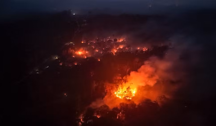 Incêndios Florestais Devastam Zona Rural do AM: Agricultores Perdem Tudo e Moradores Desmaiam em Meio à Fumaça