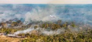 Justiça Federal exige explicações urgentes da União e governos do AM e PA sobre combate a incêndios na Amazônia