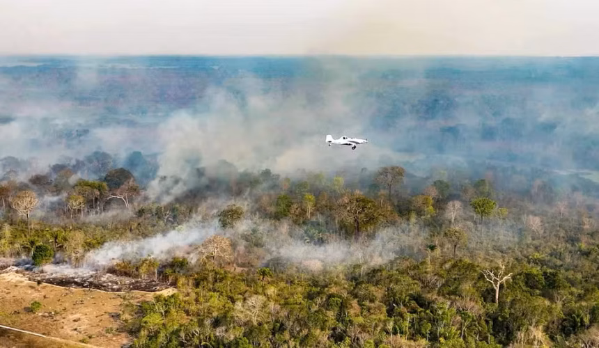 Justiça Federal exige explicações urgentes da União e governos do AM e PA sobre combate a incêndios na Amazônia