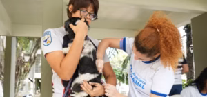 Vacina Antirrábica Gratuita em Manaus: Cães e Gatos Protegidos em 27 Pontos; Veja Onde Garantir a Dose Vital!