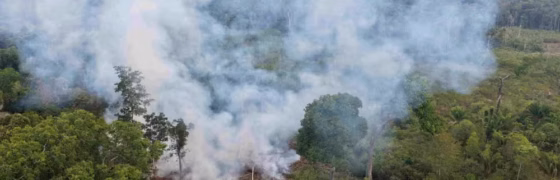 Proprietário de Terreno é Multado em R$ 15 Mil no Amazonas Após Flagrante de Queimada Ilegal em Ramal da BR-319