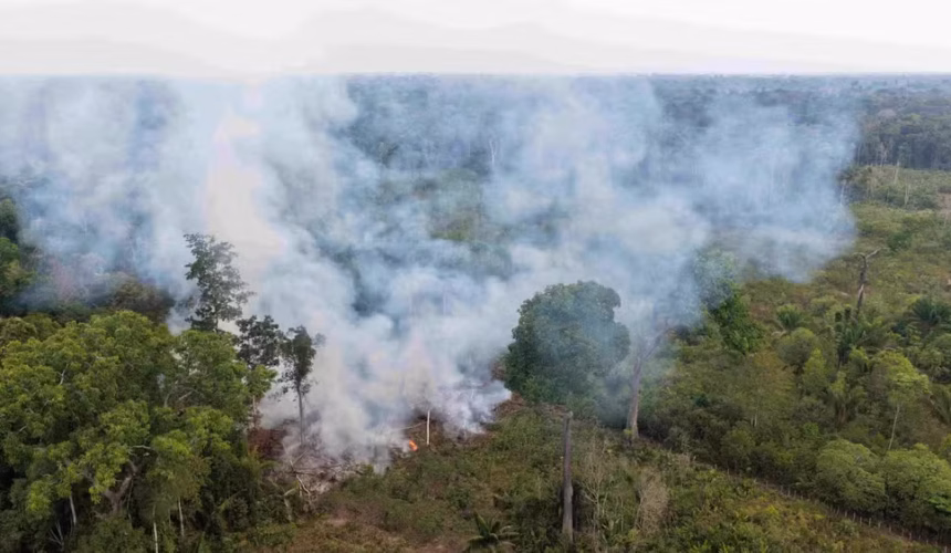 Proprietário de Terreno é Multado em R$ 15 Mil no Amazonas Após Flagrante de Queimada Ilegal em Ramal da BR-319