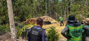 Queimadas e Desmatamento em Itacoatiara: Mais de R$ 700 Mil em Multas por Crimes Ambientais em 13 Pessoas Autuadas